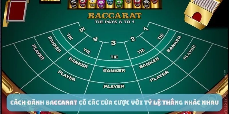 Cách đánh Baccarat có các cửa cược với tỷ lệ thắng khác nhau