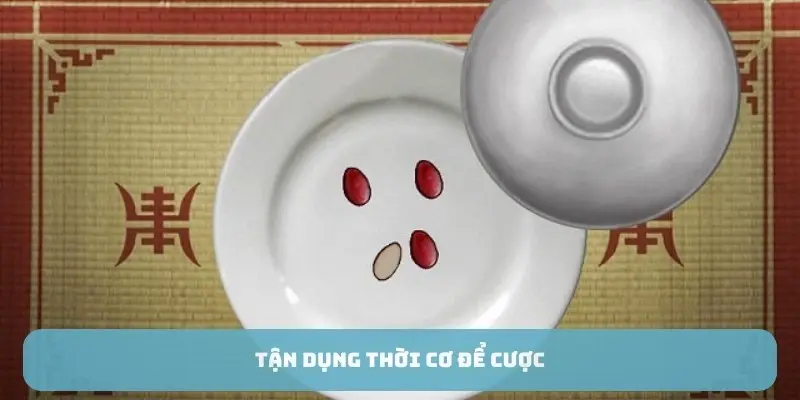 Tận dụng thời cơ để cược